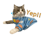 746523446