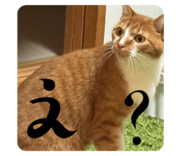 746523615