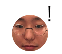74652929