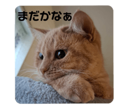 746530097
