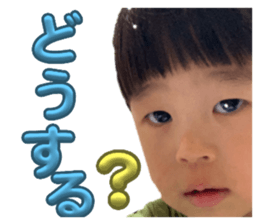 746530651