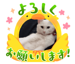 746534996