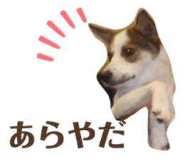 746535508
