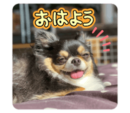 746536596