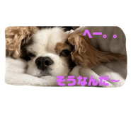 746551344