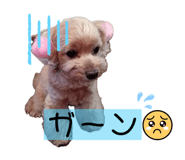 746553248