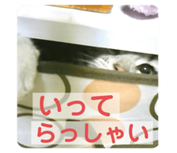 746553653