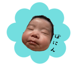 746567006