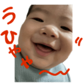 746584300