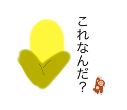 746593062