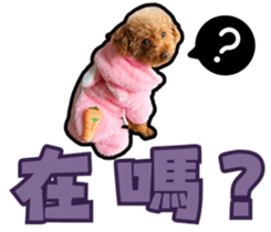 746602258