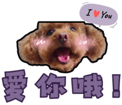 746602263