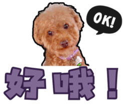 746602265