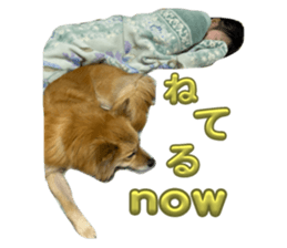 746640666