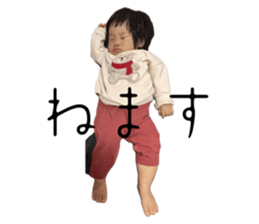 746640814