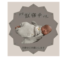 746641142