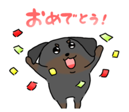 746642690
