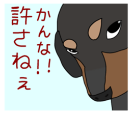 746642695