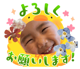 746650307