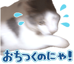 746654895