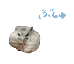 746658641