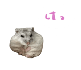 746658642