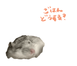 746658656