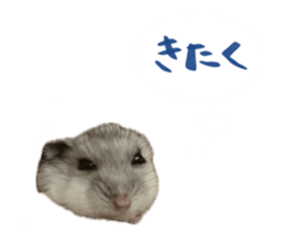 746658658