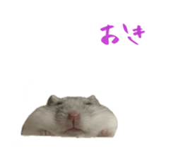 746658660