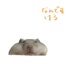 746658661