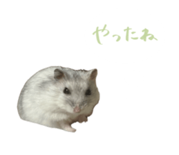 746658663