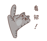 746659817