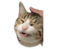 746662828