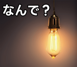 746662981