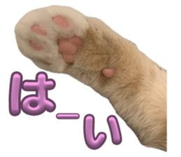 746663214