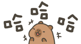 746664003