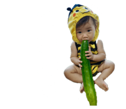 746667681