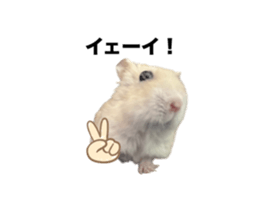 746668461