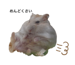 746668471