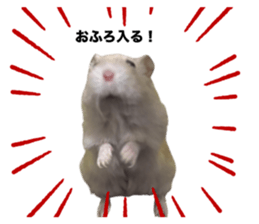 746668473