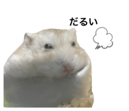746668475
