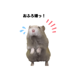 746668477