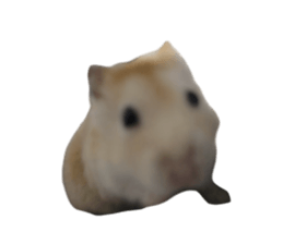 746668483