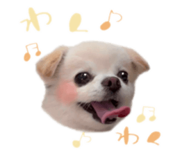 746689973