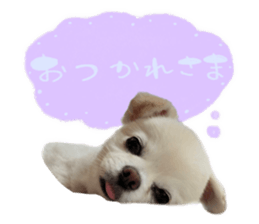 746689974