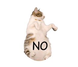 746690778