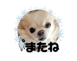 746695574