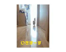 746695619