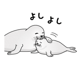 746698875
