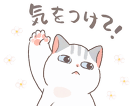 746701734